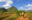 Two people on horseback riding along red dirt path with birds of prey flying overhead and in the distance, verdant mountains