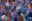 GENERAL – dreamstime_xxl_138355755