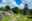 Spread across an open grassy plain are stone pyramids, crumbling temples and stone structures with thatched roofs under a blue sky floating in clouds