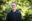 LATATeamPortraits31