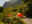 Cuernos-Camping-2234