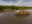 DJI_0388