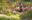 Expedia-Garden-Meditation-73FS6892-KL