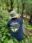 WhatsApp-Image-2024-08-12-at-4.13.08-PM