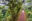iStock_000060091984_Full