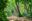 shutterstock_1087173116