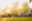 054_Architecture_TCunniffe