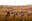 087_General_TCunniffe