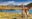 Visit Torres Del Paine National Park, Chile