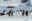 151468189_10151489046324996_2755624602327070488_n-350×225-1