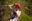 5bfe424aba4e2e080d6b49de9c2968be3f5836fa