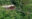 Pacuare Lodge