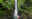 Pacuare Lodge
