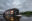 Iquitos