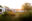B31CD6DD-17CE-4144-B18E-0D661D16F565