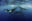 Whales