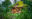 CRISTALINO-LODGE_THIAGO-DIZ_DIZ_1943-Enhanced-NR