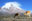 Chimborazo-Vicunas-
