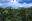 Coffee plantation
