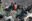 Magnificent Frigatebirds