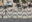 Copacabana