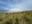 Horseback Cotopaxi