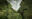 Cristalino-Jungle-Lodge-Canopy-Tower-from-above-Samuel-Melim