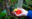 Feeling nature - humminbird