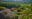 Biodynamic Garden