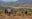 Discovering the Valley