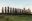 Easter Island
