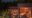 Night-time-Villa-exterior-at-andBeyond-Vira-Vira