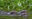 OTTERS