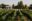 Chihuahua's wine region
