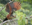 Kapawi Ecolodge has more than 500 species of birds