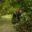 Trekking through the rainforest
