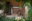 NEW!!! West Bungalows