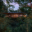 NEW!!! West Bungalows