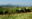 Horse riding along vineyards
