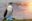 Blue-footed booby