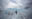 calafate2