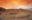 Caral City