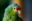 charlotte-venema-kOB59YNSFsU-unsplash