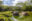 Galapagos Highlands and Giant Tortoises