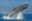 humpbackwhales