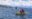 Titicaca Hydrofoils