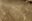 The Nasca Lines