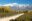 Wine Tours