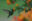 thumbnail-1-1