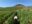 Wine Valleys
